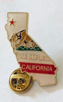Collection of State Lapel Pins of the USA  (All 50 USA States)