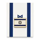 Israel Flag Lapel Pin – Israeli USA Friendship | Cloisonné Hard Enamel
