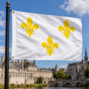 French Fleur de Lis Flag Over Colonial America | 5x8 Ft | Historical Reproduction | Made to Order