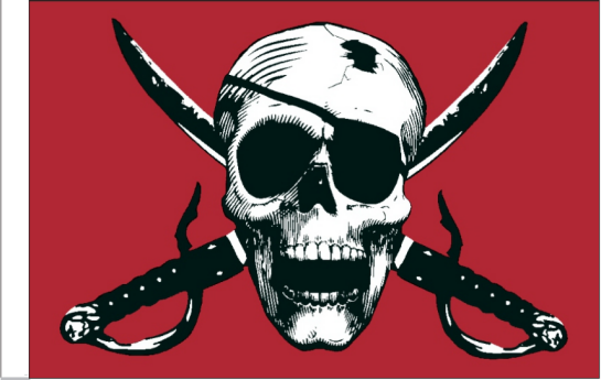 Crimson Pirate Red 4'x6' Flag ROUGH TEX® 68D Nylon