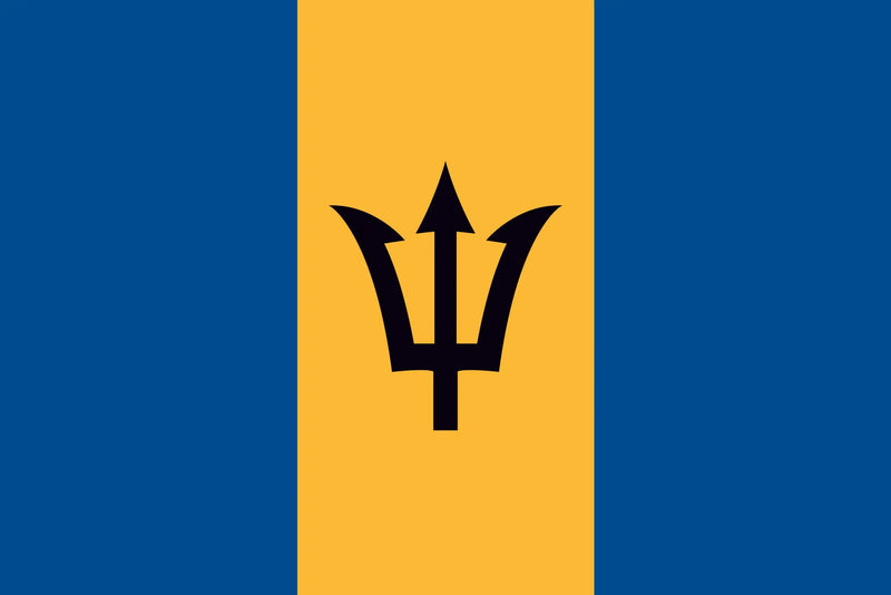 144 Count Case of Barbados 3'x5' Flag ROUGH TEX® 68D