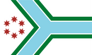 Cook County Illinois 2022 3x5 Feet Flag