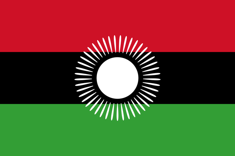 Malawi 2010-2012 Bingu's Flag 3x5 68D Polyester Outdoor African