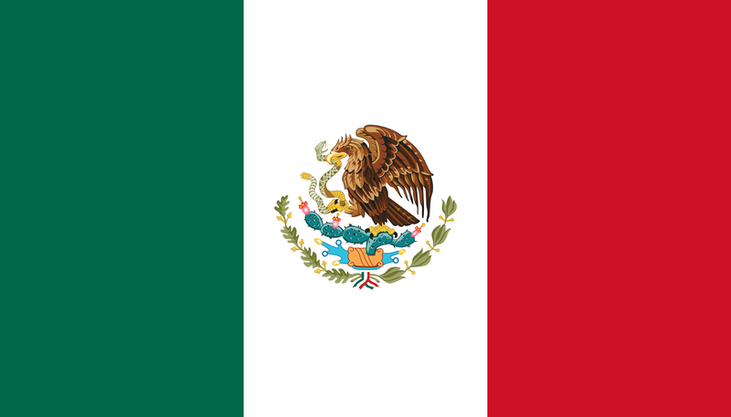 144 Count Case of Mexico 3'x5' Flag ROUGH TEX® 100D