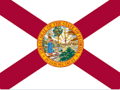 Florida 3'x5' Embroidered Flag ROUGH TEX® Cotton