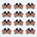 Betsy Ross USA 1776 American 250th Lapel Pins Spirit of 76