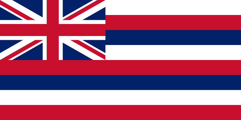 Hawaii 12"x18" Car Flag ROUGH TEX® Knit Double Sided