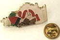 Collection of State Lapel Pins of the USA  (All 50 USA States)