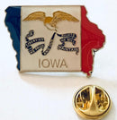 Collection of State Lapel Pins of the USA  (All 50 USA States)