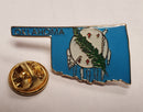 Collection of State Lapel Pins of the USA  (All 50 USA States)