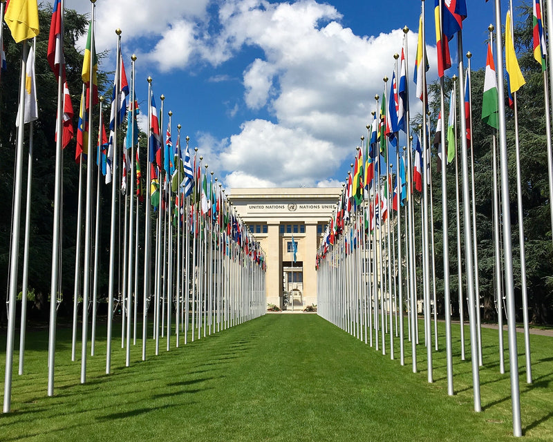 3x5 Feet Flags Member States United Nations A-J Nations Country Flags
