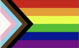 Progressive Pride Rainbow 12"x18" Stick Flag ROUGH TEX® 100D 30" Wooden Stick