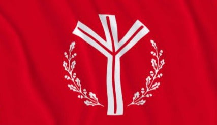 Life Rune European Flag 3x5 Algiz Elhaz