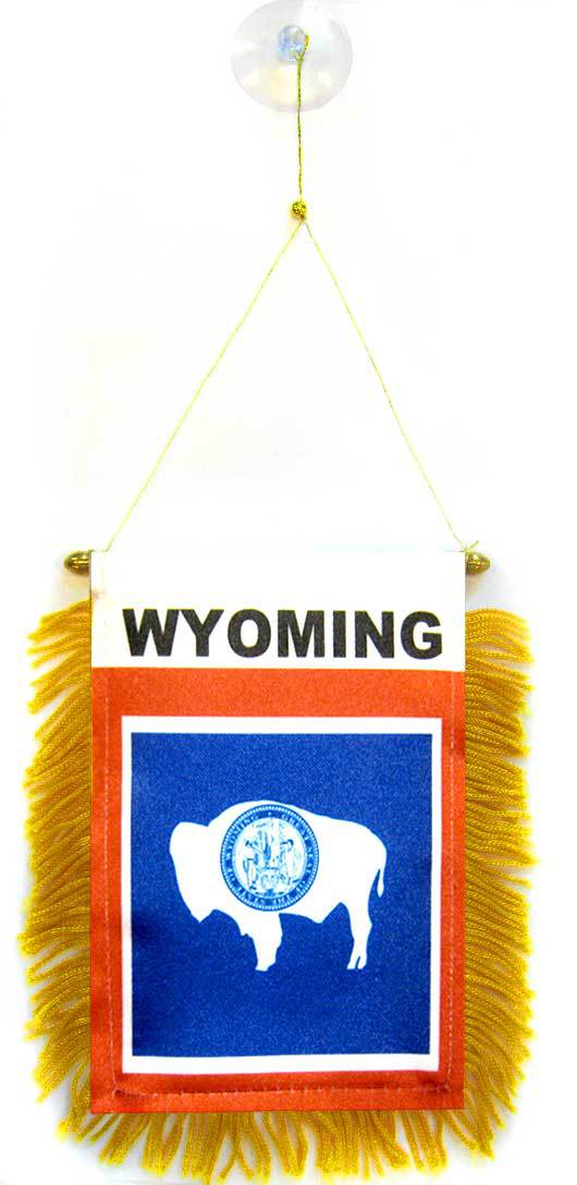 Wyoming Flag Mini Banner