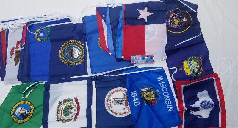 USA Educational 50 States American at 250 Bunting All Flags 12x18 Inches