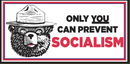 Only You Can Prevent Socialism Smokey Bear White  3'X5' Flag Double sided ROUGH TEX® 100D