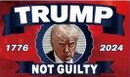 Trump Mugshot 1776 2024 Not Guilty Red 3'X5' Flag ROUGH TEX® 100D