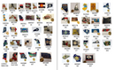 Collection of State Lapel Pins of the USA  (All 50 USA States)