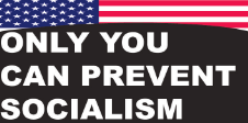 Only You Can Prevent Socialism Bumper Sticker