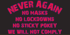 Never Again Bumper Sticker