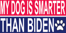 My Dog Is Smarter Than Biden Bumper Sticker