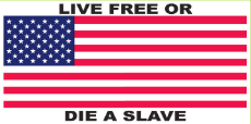 Live Free Or Die A Slave USA Bumper Sticker