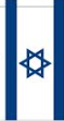 Israel Flag 12"x18" 100D ROUGH TEX® Israeli Double Sided Garden Flag