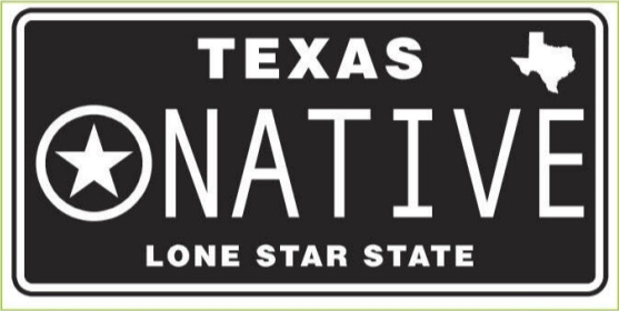 Texas Native Lone Star State Bumper Sticker Blackout Texas Tag Design Made in USA