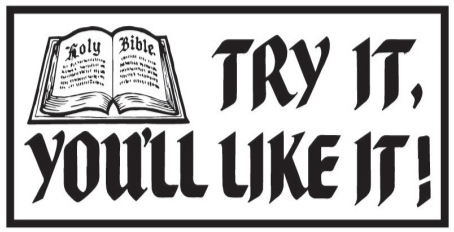 Try It You'll Like It Holy Bible Bumper Stickers Made in USA Christian Good Book
