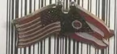 USA & Ohio Friendship Lapel Pin