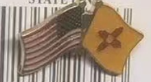 USA & New Mexico Friendship Lapel Pin