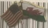 USA & Wales Friendship Lapel Pin