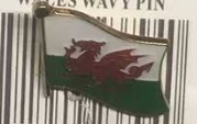 Wales Wavy Lapel Pin