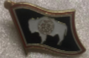 Wyoming State Wavy Lapel Pin