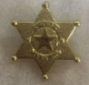Deputy Marshal Star Lapel Pin