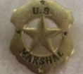 US Marshal Gold Star Lapel Pin
