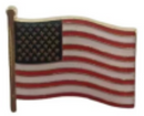 USA American Wavy Lapel Pin