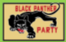 Black Panther Party 3'X5' Flag ROUGH TEX® 100D