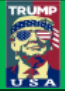 Trump USA 12"x18" Garden Flag ROUGH TEX® 100D