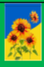 Ukraine Sunflower 12"x18" Garden Flag ROUGH TEX® 100D