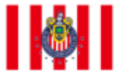 Guadalajara 3'x5' Flag ROUGH TEX® 68D No Header Card