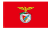 Benefica 3'X5' Flag ROUGH TEX® 68D