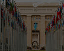 Western Euopean United Nations Members 3x5 Feet Flag Set of 30 Flags