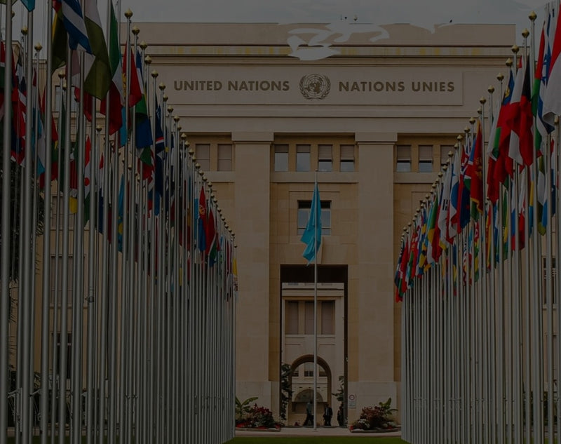 Western Euopean United Nations Members 3x5 Feet Flag Set of 30 Flags