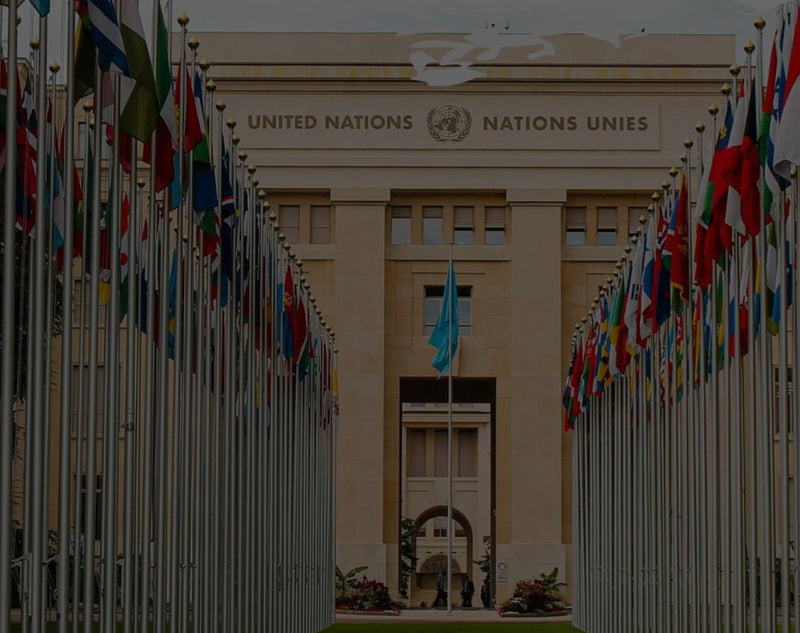 Carribean & Latin American United Nations Members 3x5 Feet Flags Set of 33 Flags