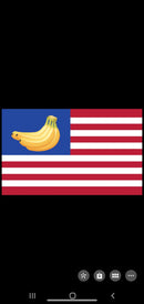 Twelve Pack Banana Republic of New York Trump Trial 3x5 Ships Within Two Weeks