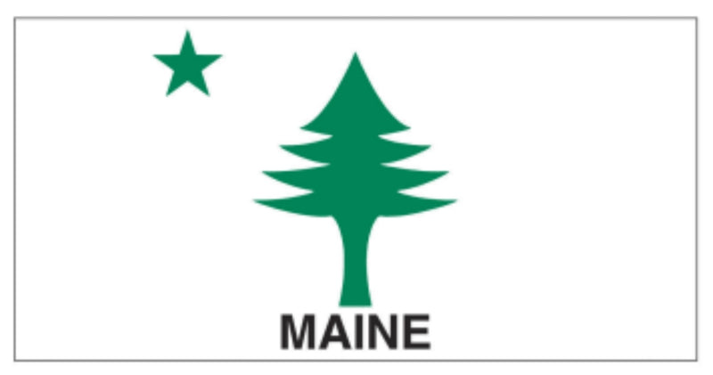 Maine 1901 Old Flag Liberty Tree Bumper Stickers American Made in USA 3.75"x7.5"