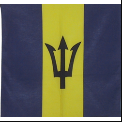 Barbados 22"x22" Cotton Bandana