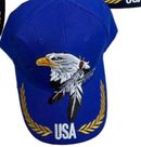 Native Pride Eagle USA Embroidered Cap