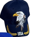 Native Pride Eagle USA Embroidered Cap